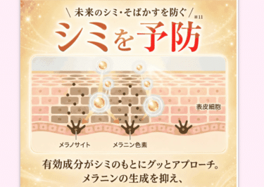 Xena store（ジーナ）の口コミから評判を徹底調査!